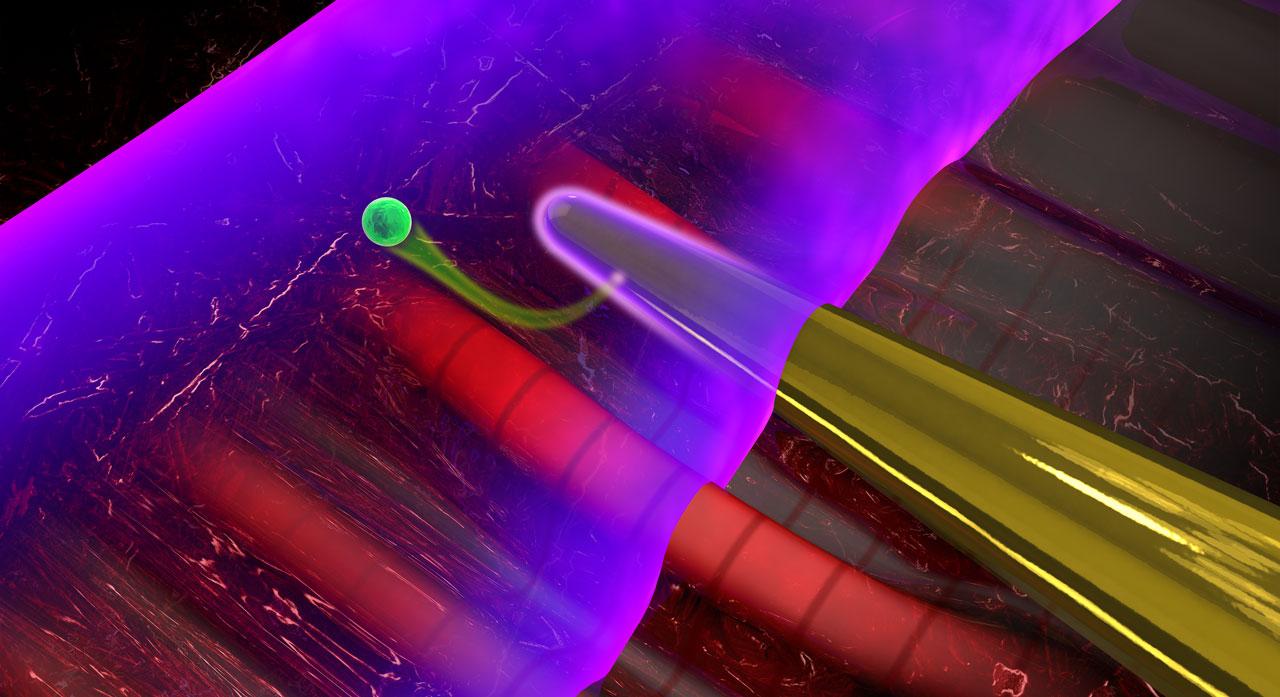 When laser light interacts with a nanoneedle (yellow), electromagnetic near-fields are formed at its surface. A second laser pulse (purple) emits an electron (green) from the needle, permitting to characterize the near-fields.